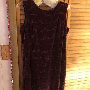 Ladies velour dress